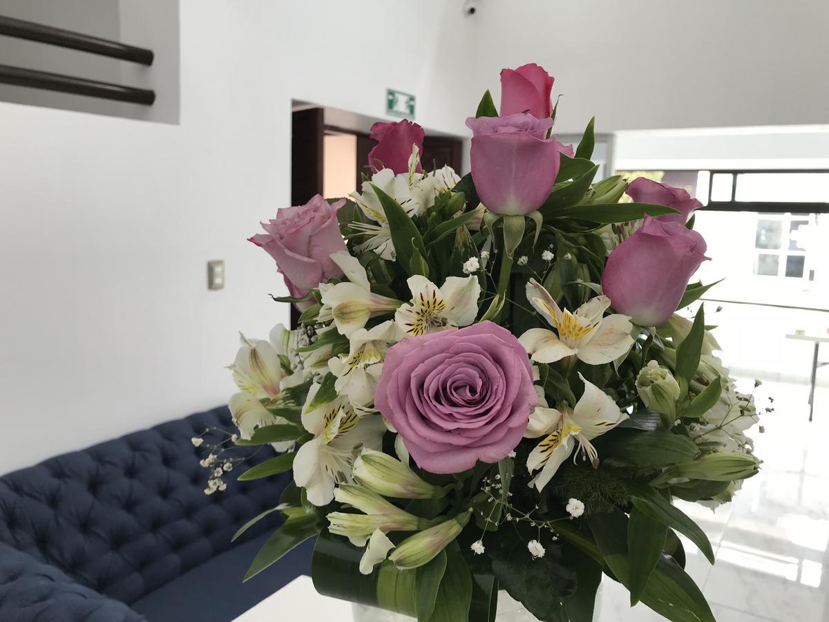 Hotel Plaza Amalia Tuxtla Gutierrez Luaran gambar